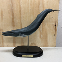 favorite MARINE LIFE シロナガスクジラ Blue Whale 80スケール スタチュー フィギュア ブルーホエール